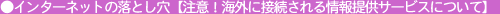 �C���^�[�l�b�g�̗��Ƃ����y���ӁI�C�O�ɐڑ��������񋟃T�[�r�X�ɂ��āz